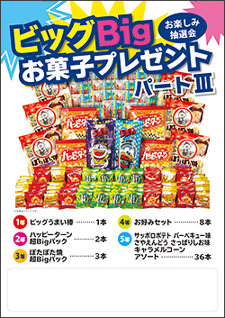 ビッグBigお菓子プレゼントパートⅢ