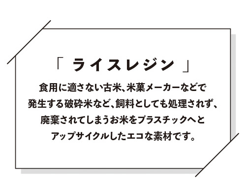 ライスレジンとは