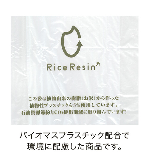 ライスレジンとは